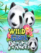 สมัคร แอ พ โจ๊ก เกอร์ เล่นง่าย กำไรงาม RTP สูง 96.46%